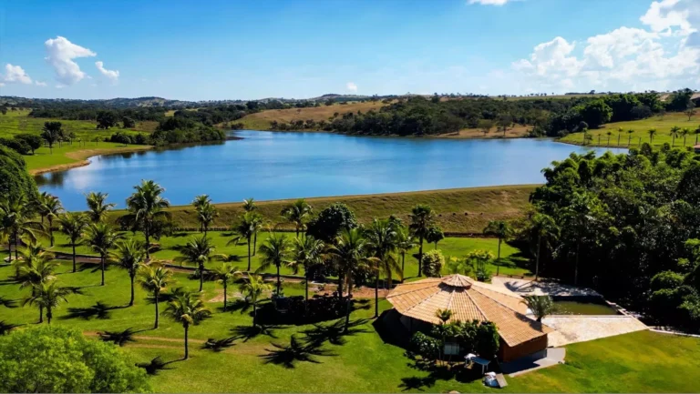 AnyConv.com__f7a32998-8f2e-4409-b7d7-9d3024cccaaf