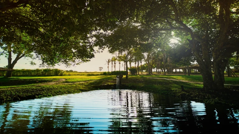 fazenda_lumiar_img (18)